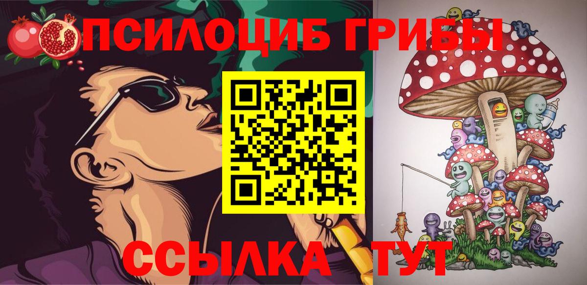 Галлюциногенные грибы Cubensis  Вход с VPN  Дивногорск 